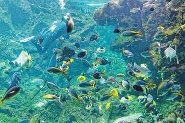 Hotel Hôtel & Restaurant De La Plage