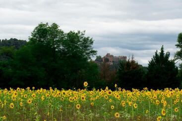 צימר Domaine De Borie Chambres D Hôtes