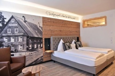 酒店 Hirschen