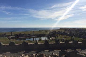 בית מלון כפרי Tufted Duck