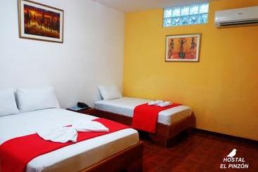 Hostel Hostal El Pinzón