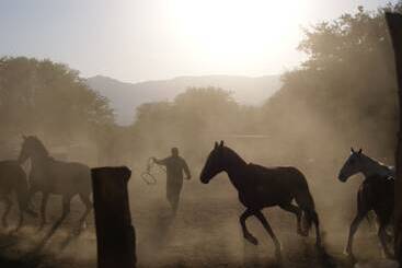 ベッドアンドブレックファースト La Vaca Tranquila