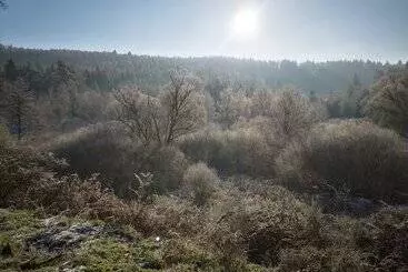 Pensione Maison D Hôtes De Charme   Ancien Moulin En Pleine Nature   La Paulusmühle