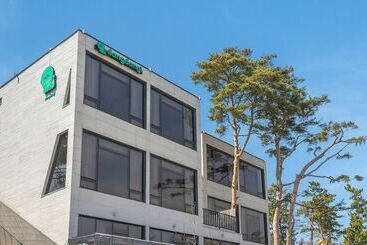 Gangneung Dangdangi Dog Pension Blue
