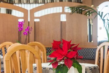 בית מלון כפרי Edelweiss