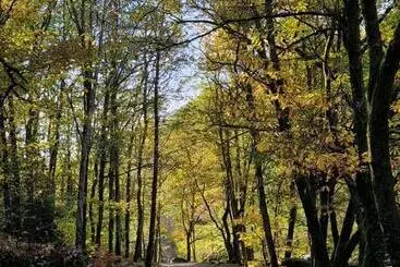 ベッドアンドブレックファースト Chambre D Hôtes Se Sentir Libre Noisette