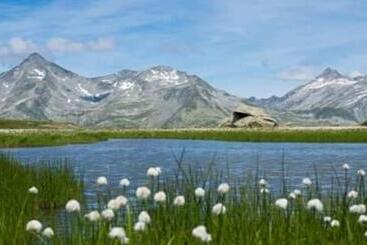 住宿加早餐  Garni Waldeck