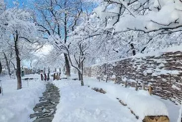 ペンション Casuta Cu Mar De La Joyard