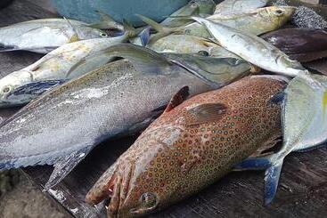 Pansiyon Hilda Guest House