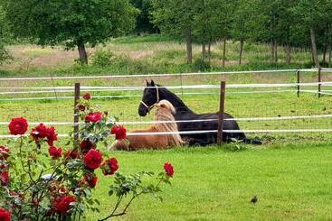 B&b Kuiper In Friesland