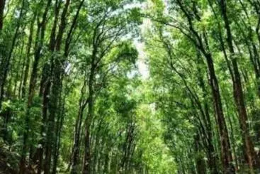 Bed and Breakfast Affordable Bedspacer Good For 8 With Breakfast