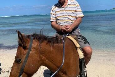 پانسیون Vp18, Lifestyle All Inklusive , Villapark