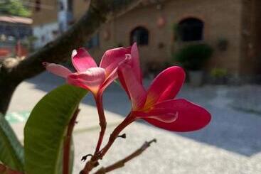 Cămin Hospedaje Huehueyopa