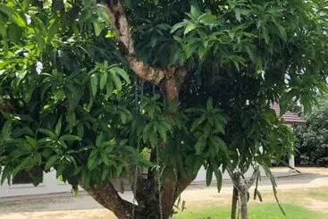 Pensionat One Room Homestay 81b Muar