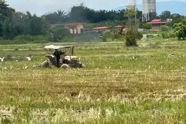 Hotelli Bertam Cottage Penang