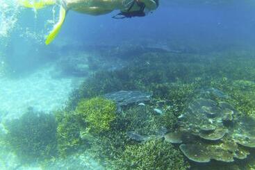 אתר נופש Nazri S Place 2