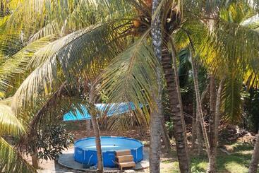 Bed and Breakfast Tropical Paradise