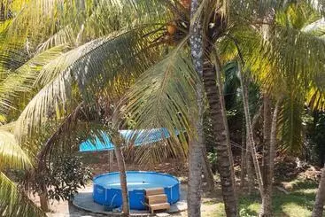 Bed and Breakfast Tropical Paradise