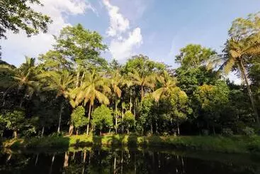 Sepilok Jungle Resort