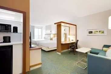 Hotel Springhill Suites By Marriott Murray