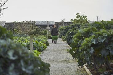 Hotel The Pig At Harlyn Bay   Cornwall