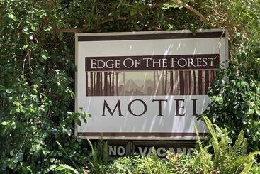 Edge Of The Forest Motel