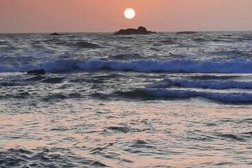 Bed and Breakfast Neue Villa Wunderschön