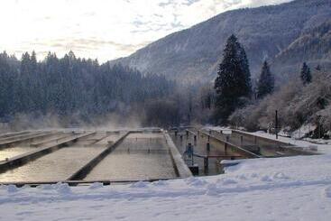 Nocleg ze śniadaniem Affittacamere Alle Trote