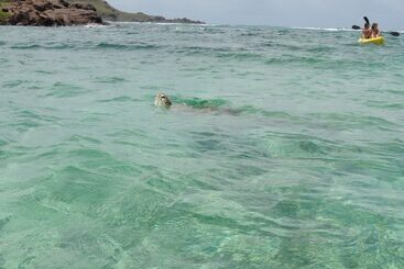 هتل Les Ondines Sur La Plage