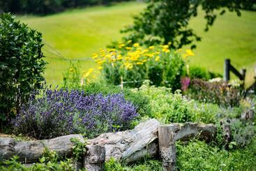 تختخواب و صبحانه Tourist Farm Pr Dovar