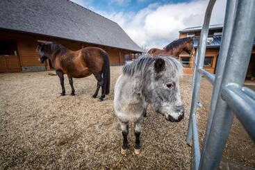 Oravský Háj Garden Hotel & Resort