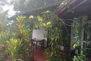 Bed and Breakfast Littleadems View