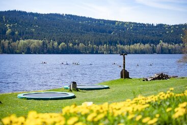 Amenity Hotel & Resort Lipno