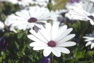 모텔 Gateway Motor Lodge  Wanganui