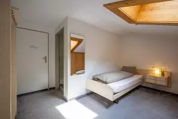 Hotel Alpina