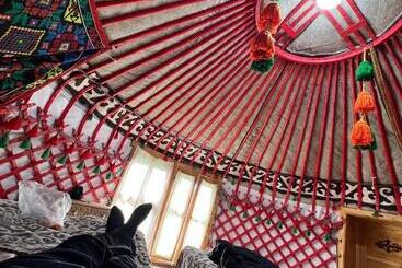 Bed and Breakfast As A Nomad Naryn Ethno Complex