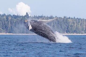 Money Pennies Bed And Breakfast