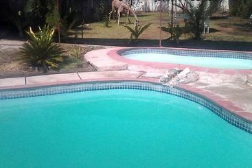 هتل Dolar Lodges & Tours