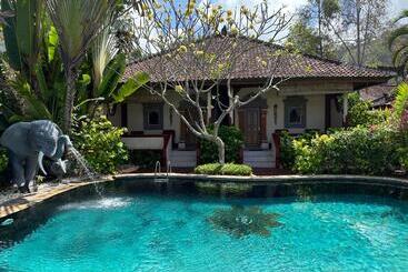 酒店 Pondok Bambu Resort 5 Stars Padi Dive Centre