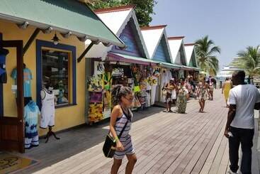 آپارتمان‌های توریست‌ها Ocho Rios Villa At Coolshade