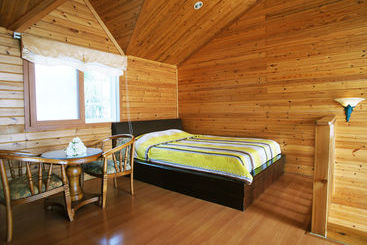 Daire Old Man And Sea