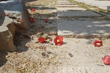 פנסיון Misori Guesthouse