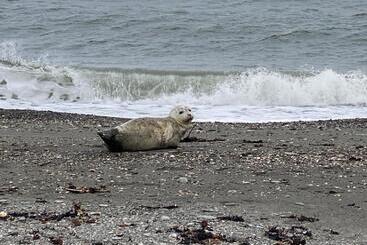 مبيت وإفطار La Maison Entre Mer Montagnes