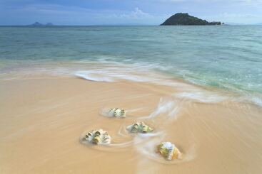 Resort Noanoa Island