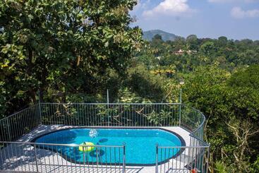 Отель Chrissie S