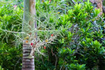 Hotel Seasons Lodge Zanzibar