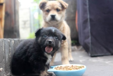 Hostel City Wall Old House.ji Residence