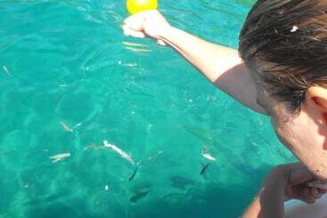 Hostel Pousada Casa Da Praia