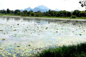 Bed and Breakfast Chanaka Homestay