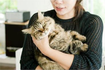 צימר Pension Atca